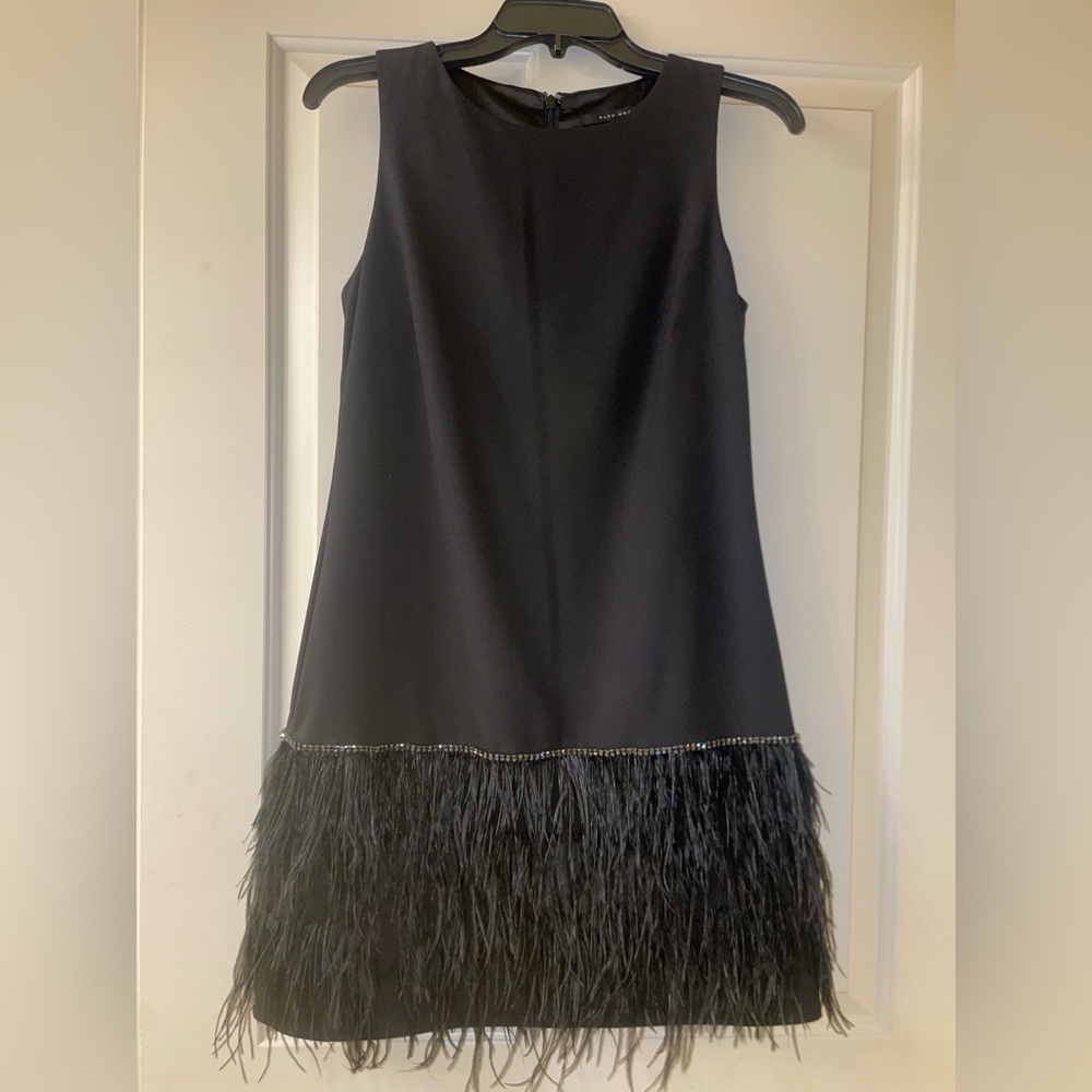 Feather Trim Dress with sequins